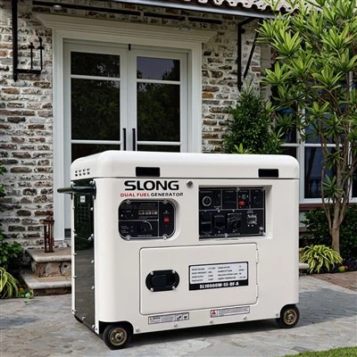Tyst bensinpropangenerator 5KW 6KW 7KW 8KW Bästa dubbla bränslebensin LPG -generator för export